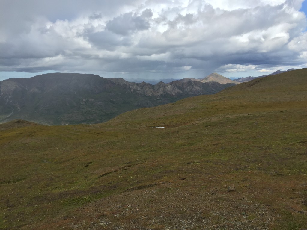 Alpine Trail Denali National Park