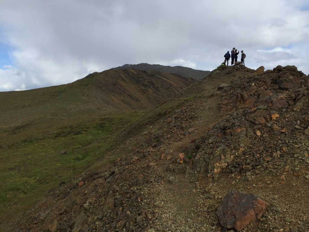 Alpine Trail Denali National Park