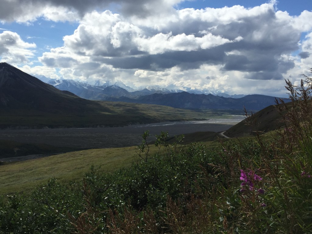 Alpine Trail Denali National Park