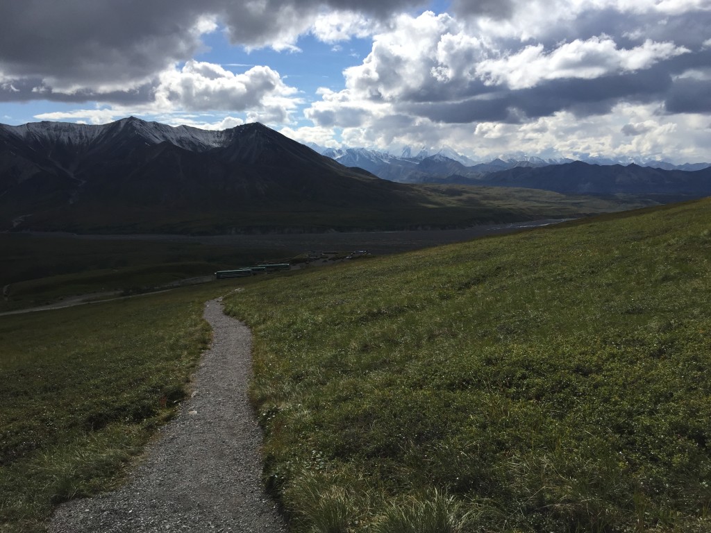 Alpine Trail Denali National Park