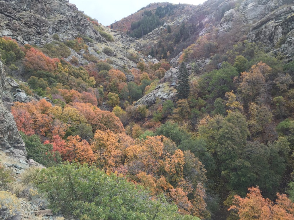 Webb Canyon