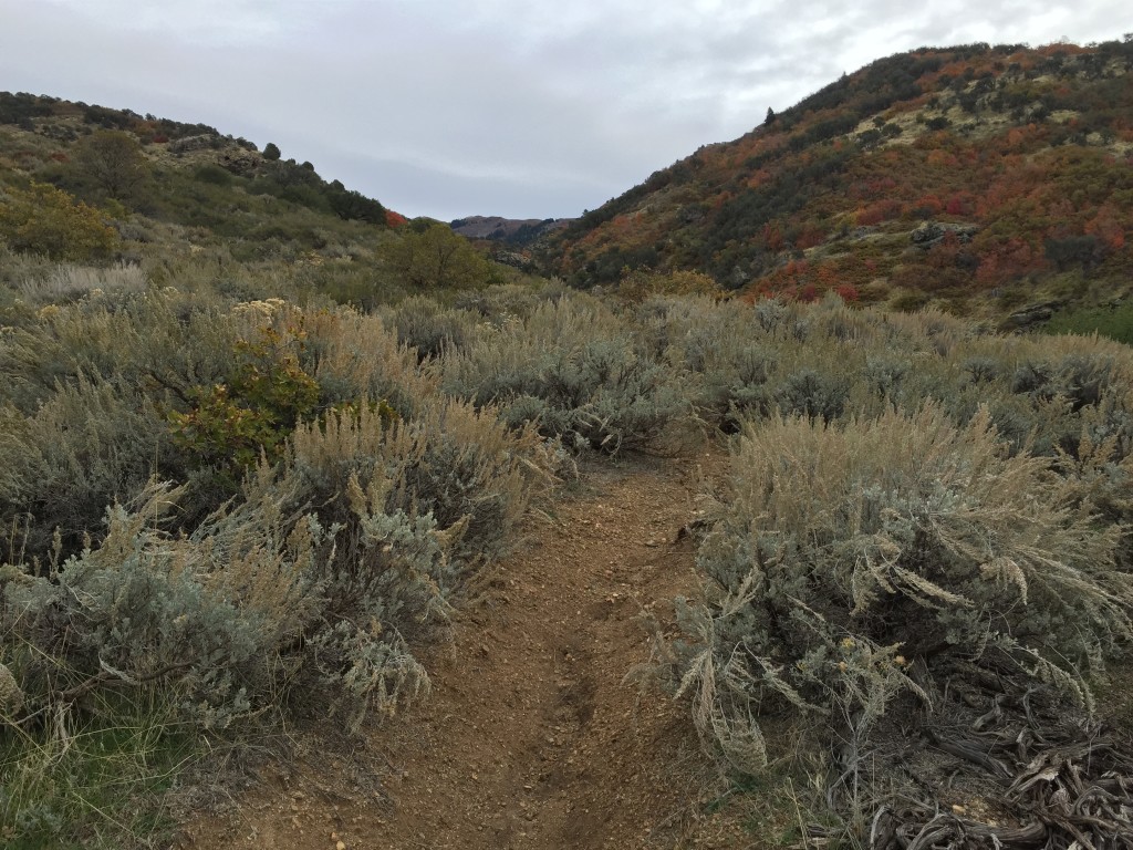 Webb Canyon