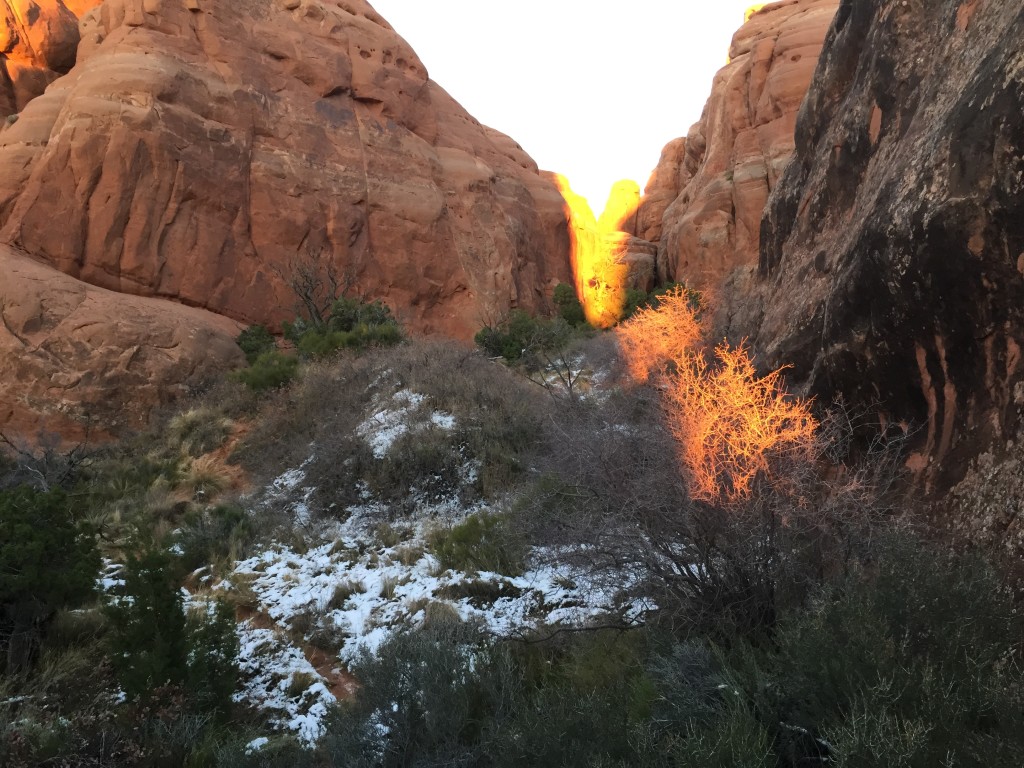 Elephant Butte