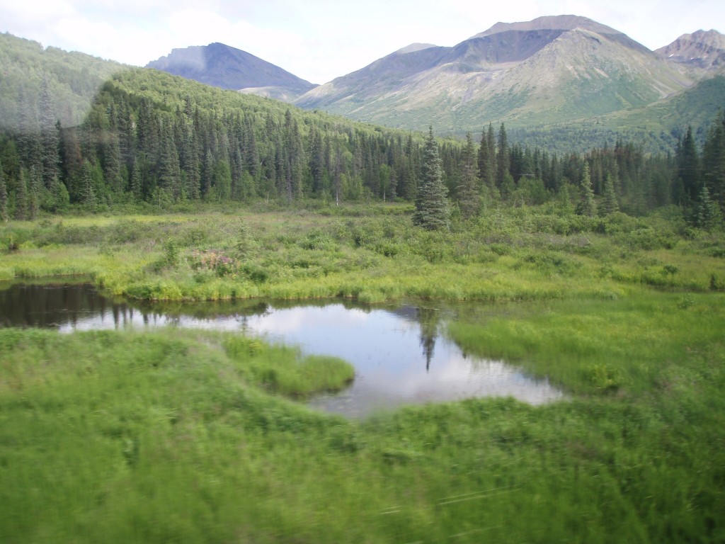 Alaska Railroad Adventure