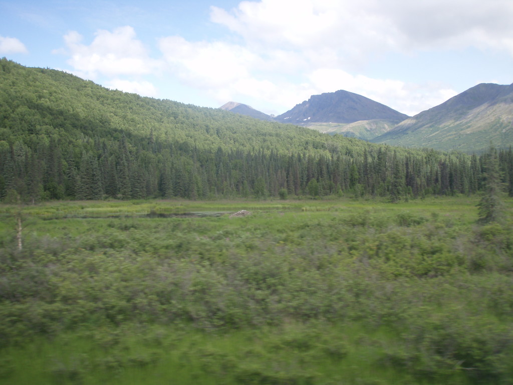 Alaska Railroad Adventure
