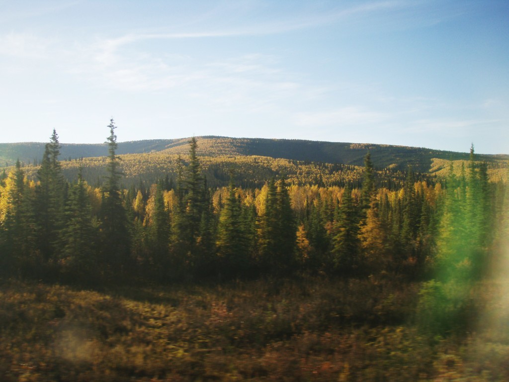 Alaska Railroad Adventure