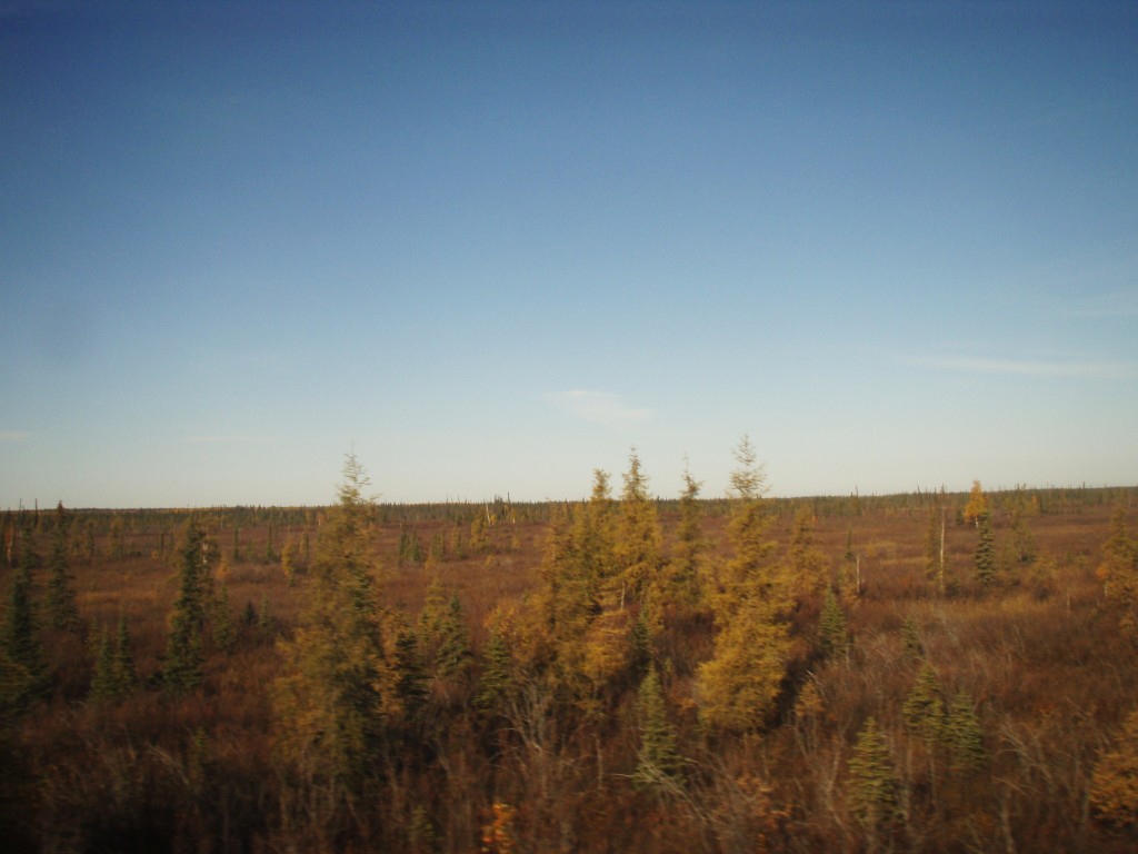 Alaska Railroad Adventure