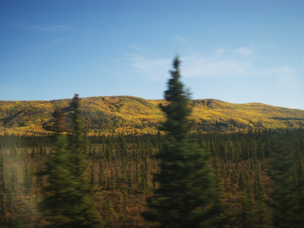 Alaska Railroad Adventure