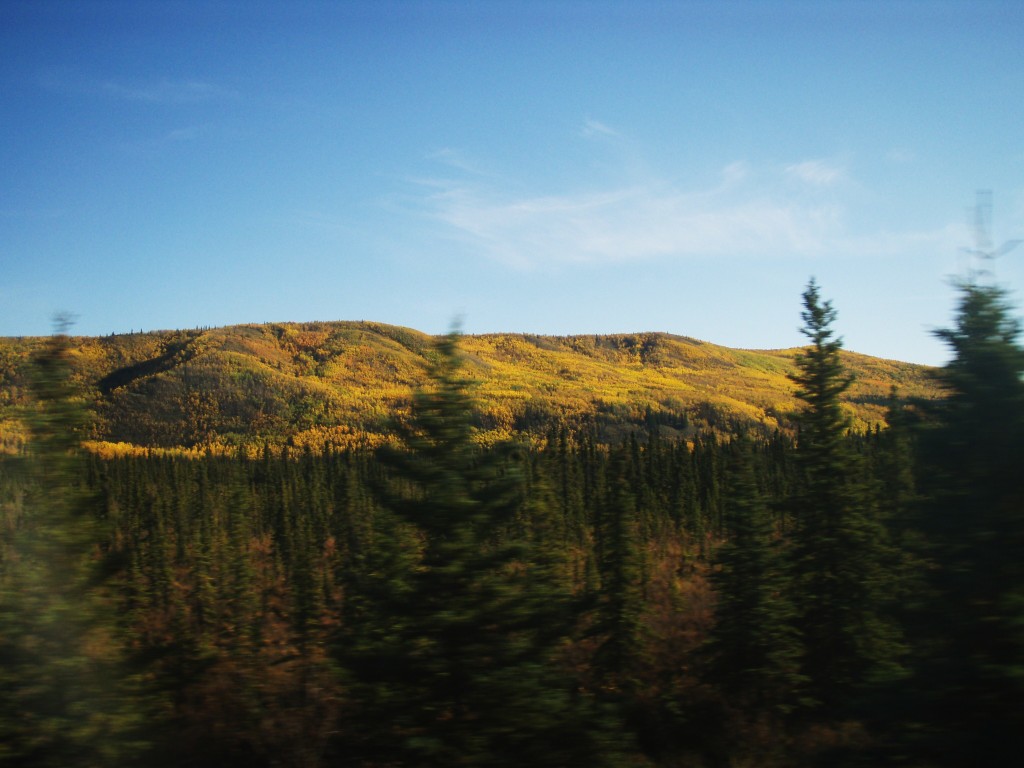 Alaska Railroad Adventure