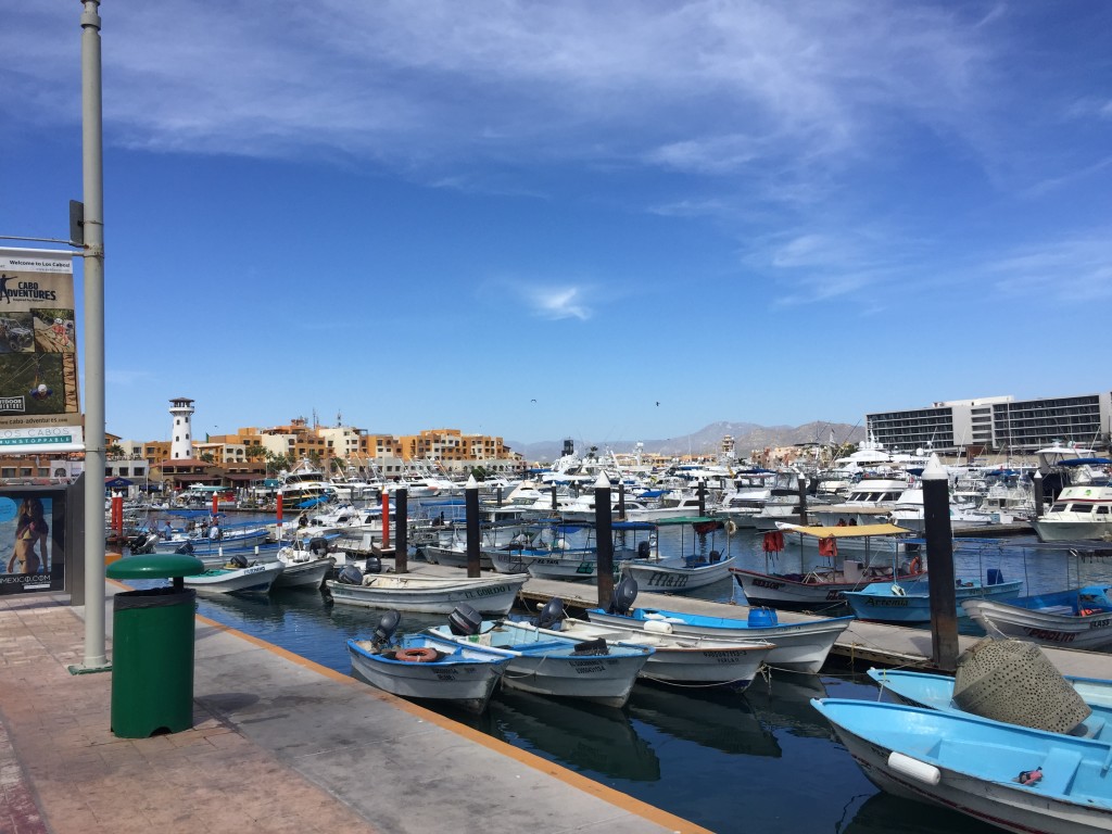 Port of Cabo San Lucas
