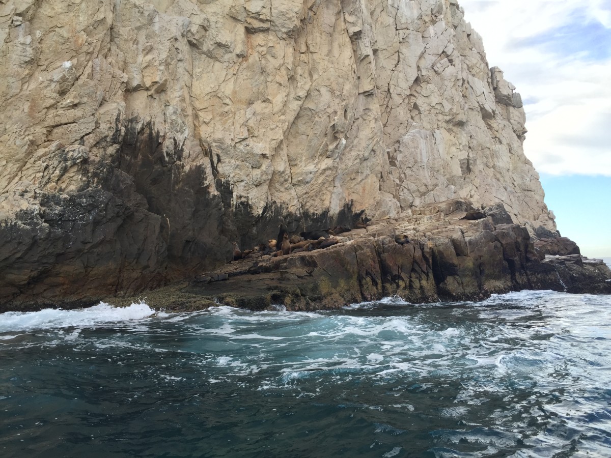 The Arch Of Cabo San Lucas Mexico The Trek Planner