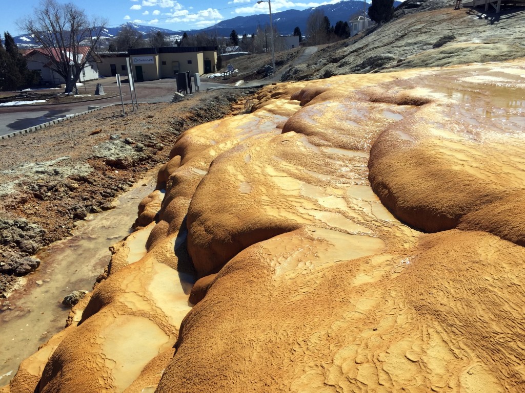 Geyser Park Soda Springs