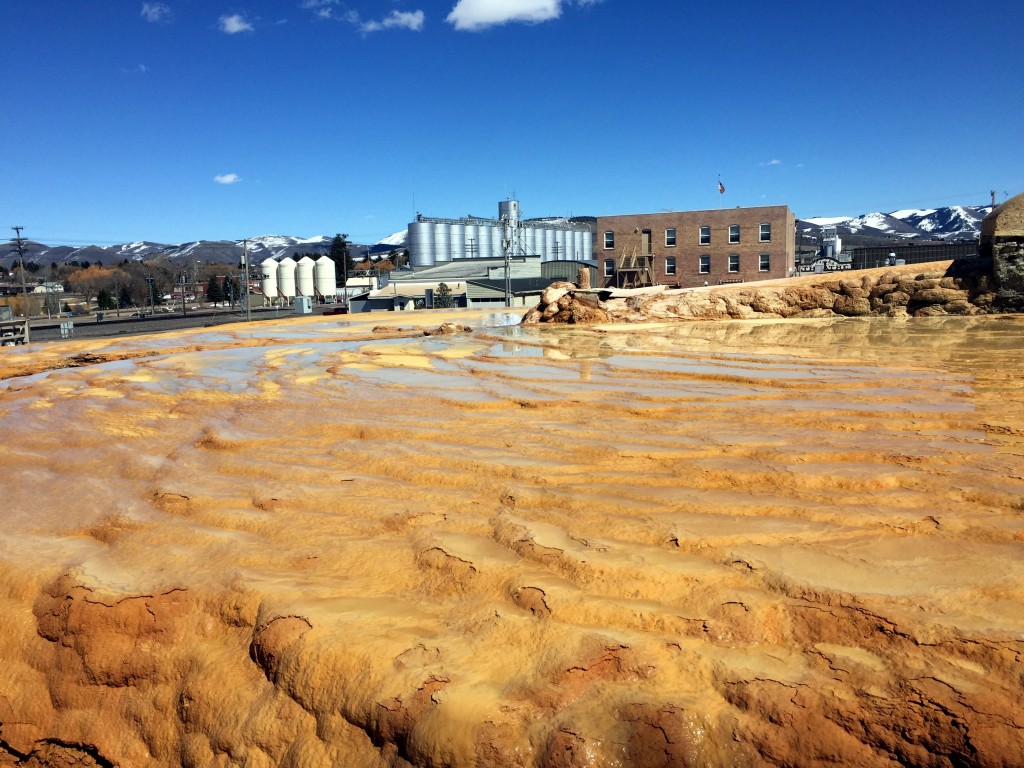 Geyser Park Soda Springs