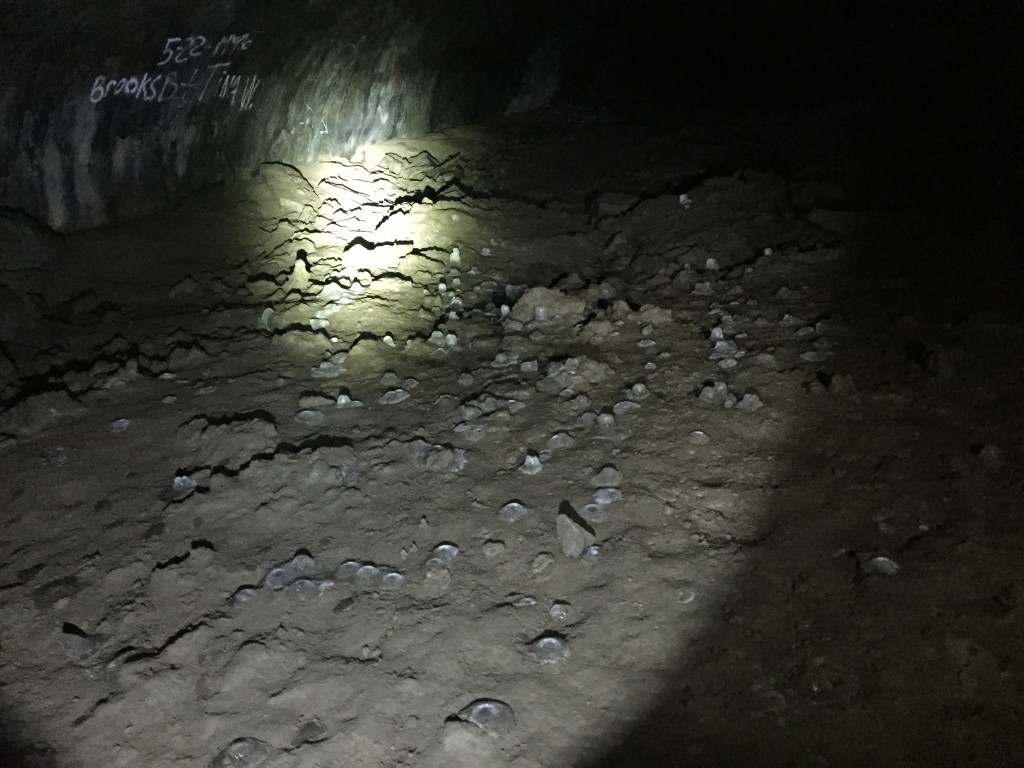 Niter Ice Cave