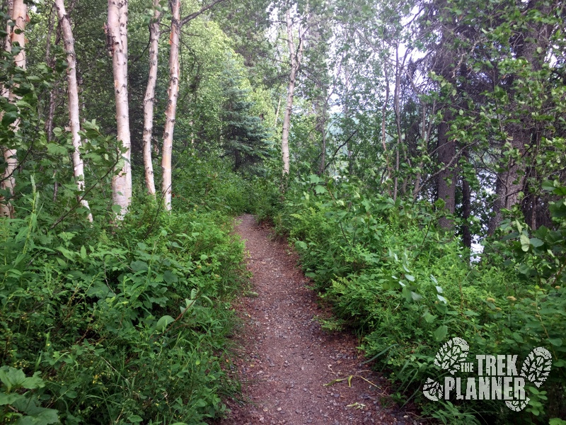 Byers Lake - Alaska