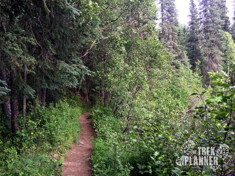 Byers Lake - Alaska