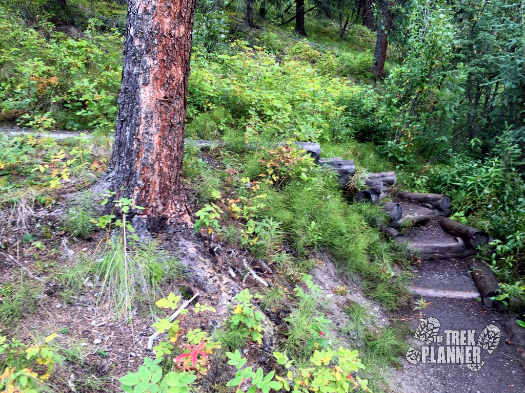 Triple Lakes Hike