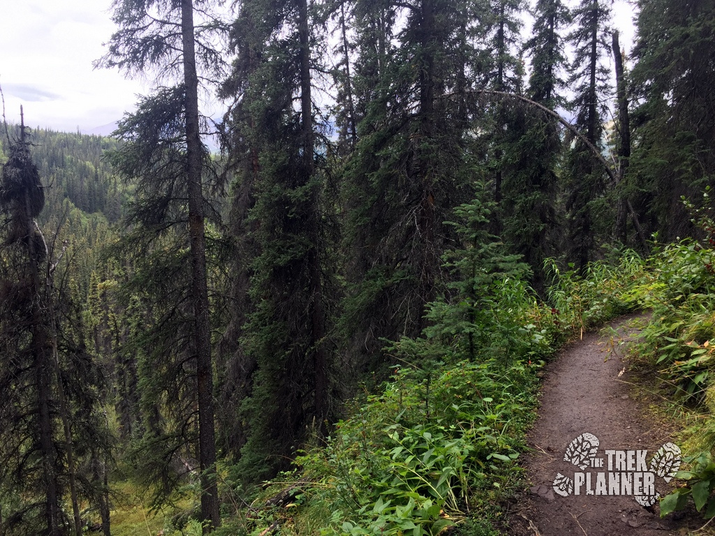 Triple Lakes Hike