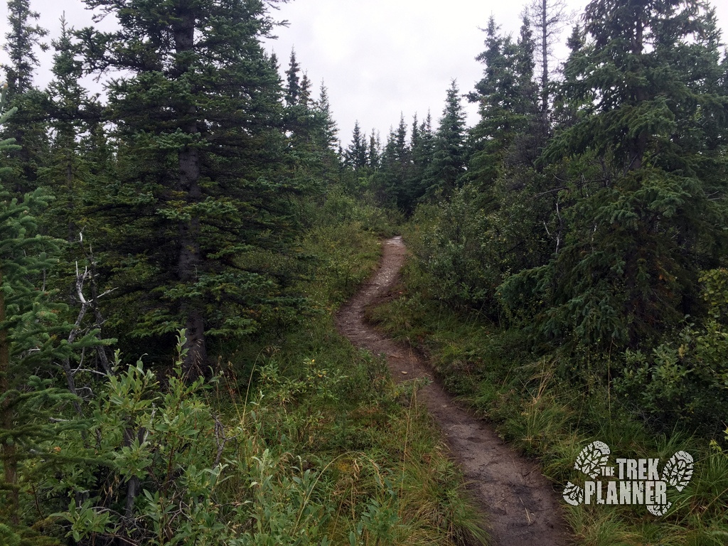 Triple Lakes Hike