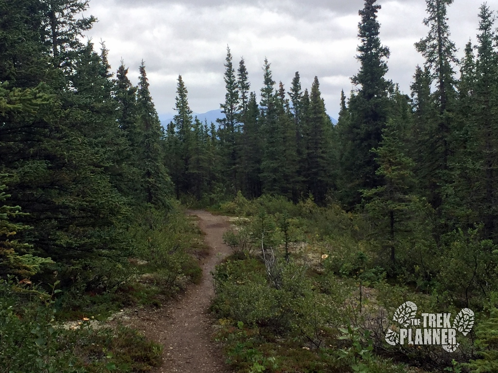 Triple Lakes Hike