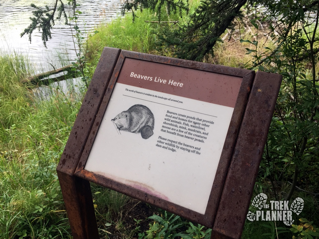 Triple Lakes Hike