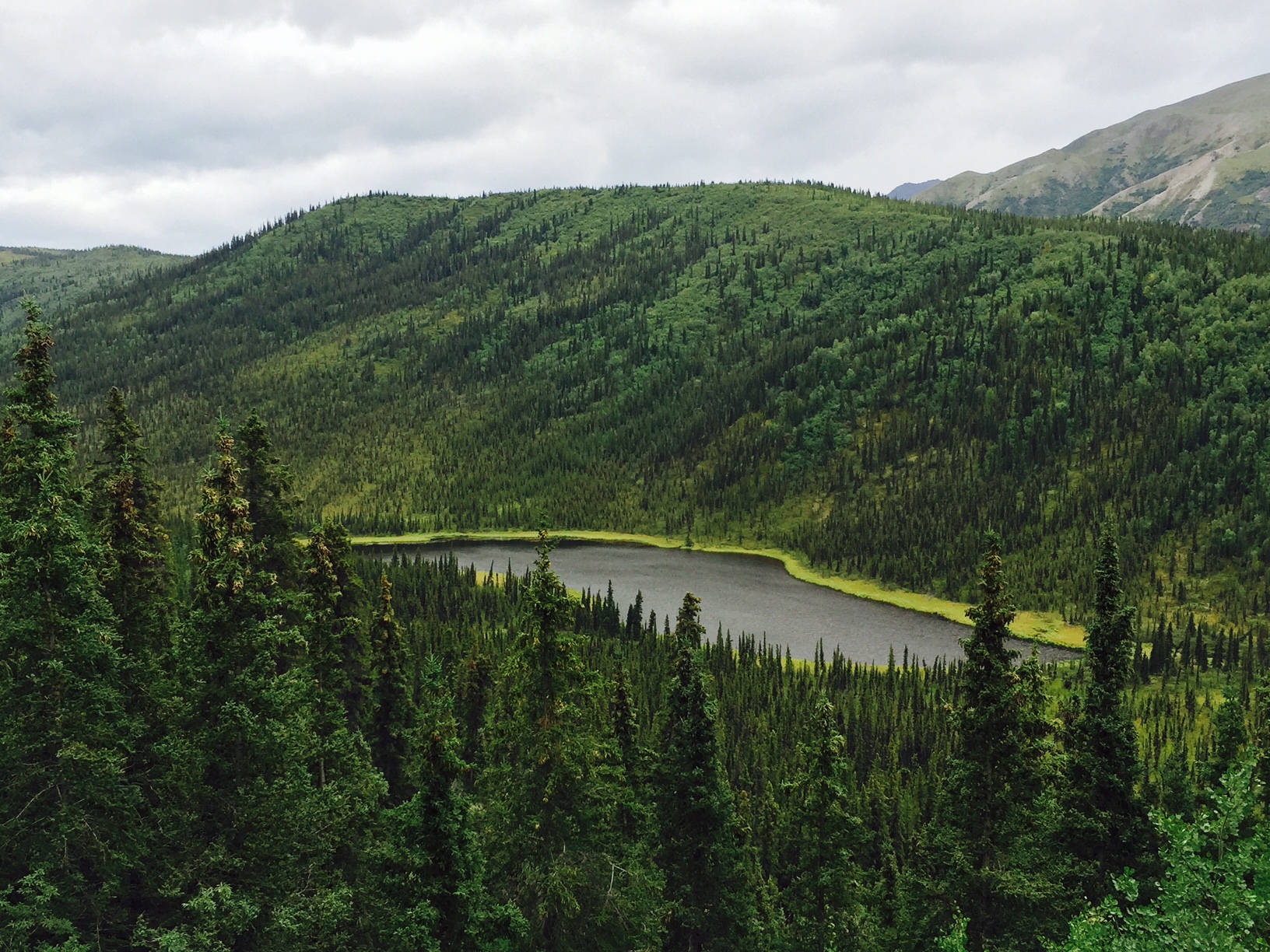 Triple Lakes Hike – Denali National Park Alaska