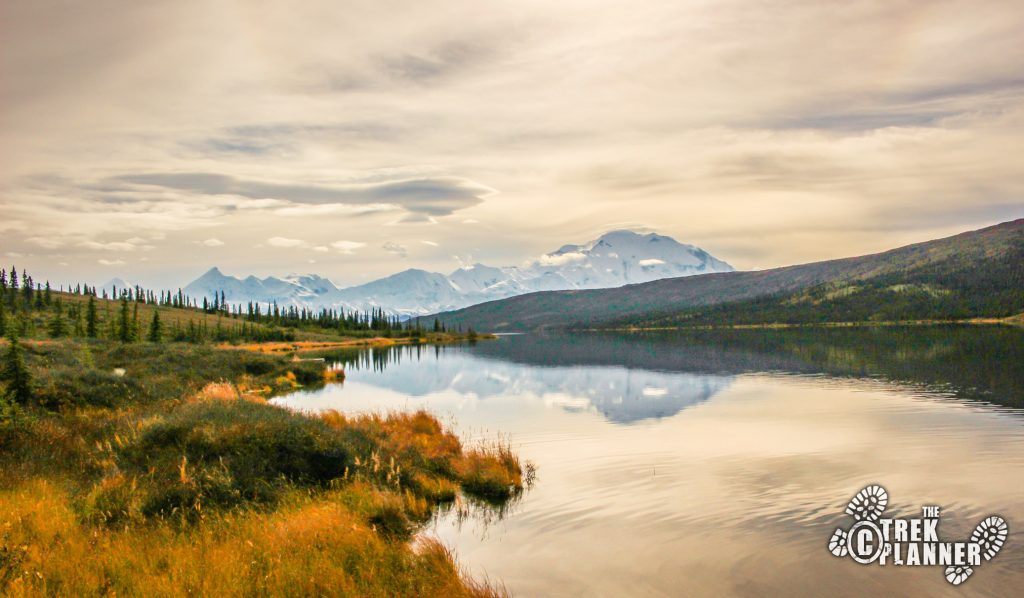 Denali National Park Shuttles - Alaska