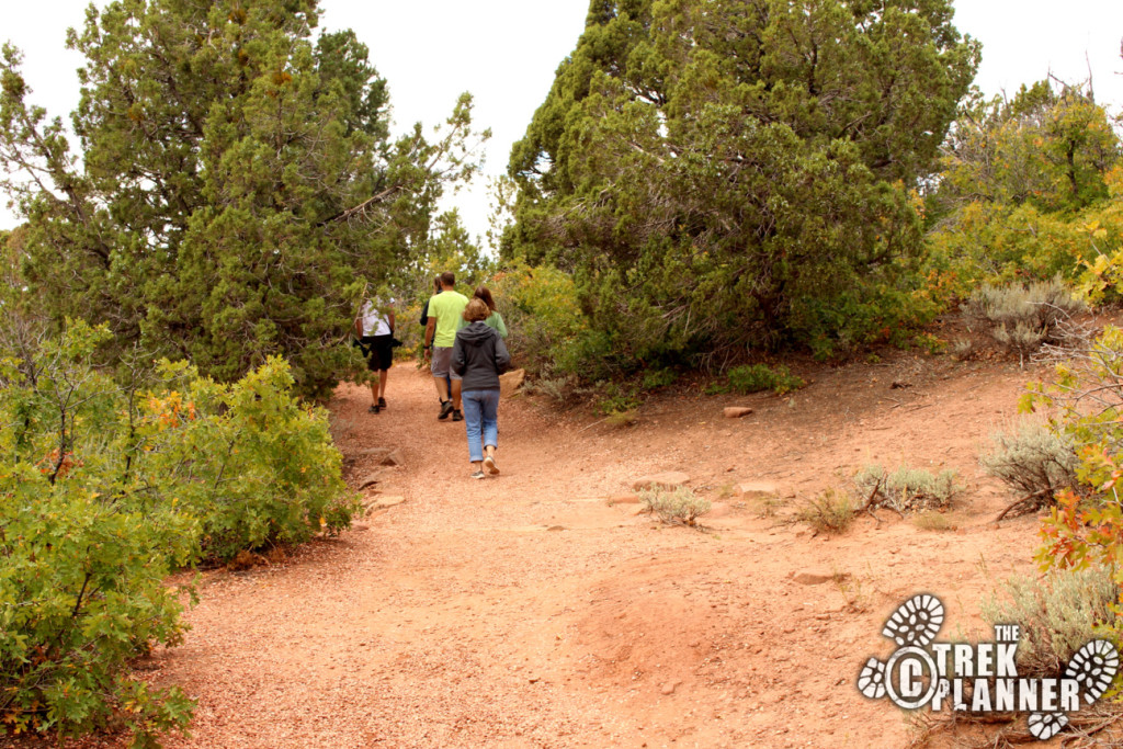 Timber Creek Overlook Trail