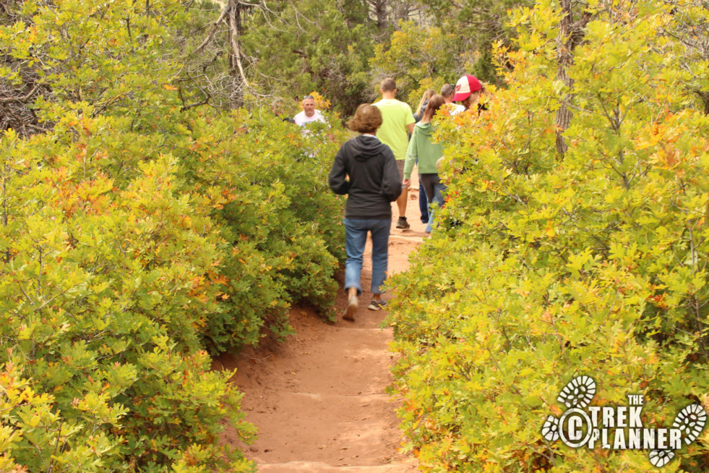 Timber Creek Overlook Trail