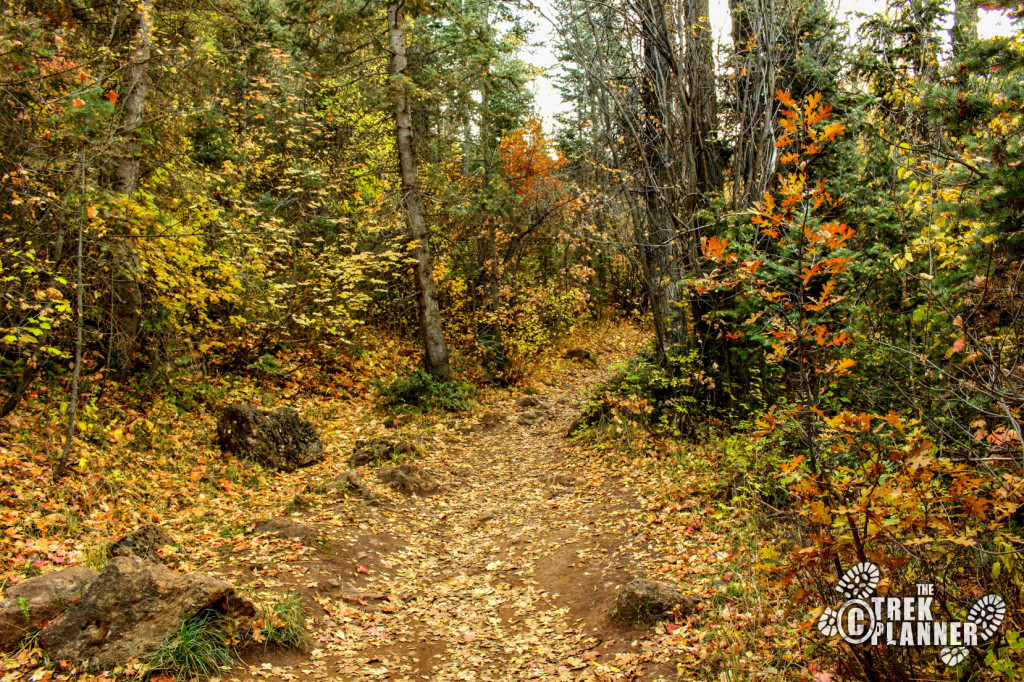 Grotto Trail