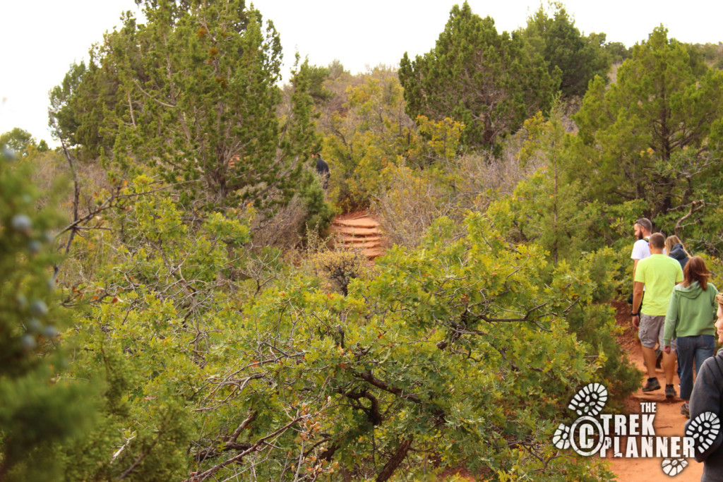 Timber Creek Overlook Trail