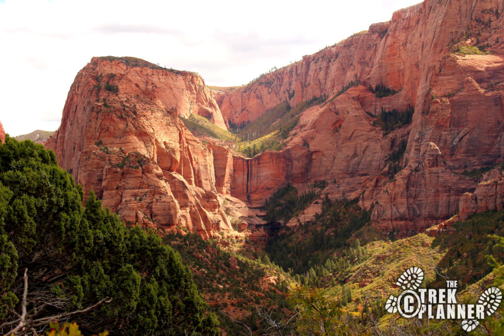 Timber Creek Overlook Trail