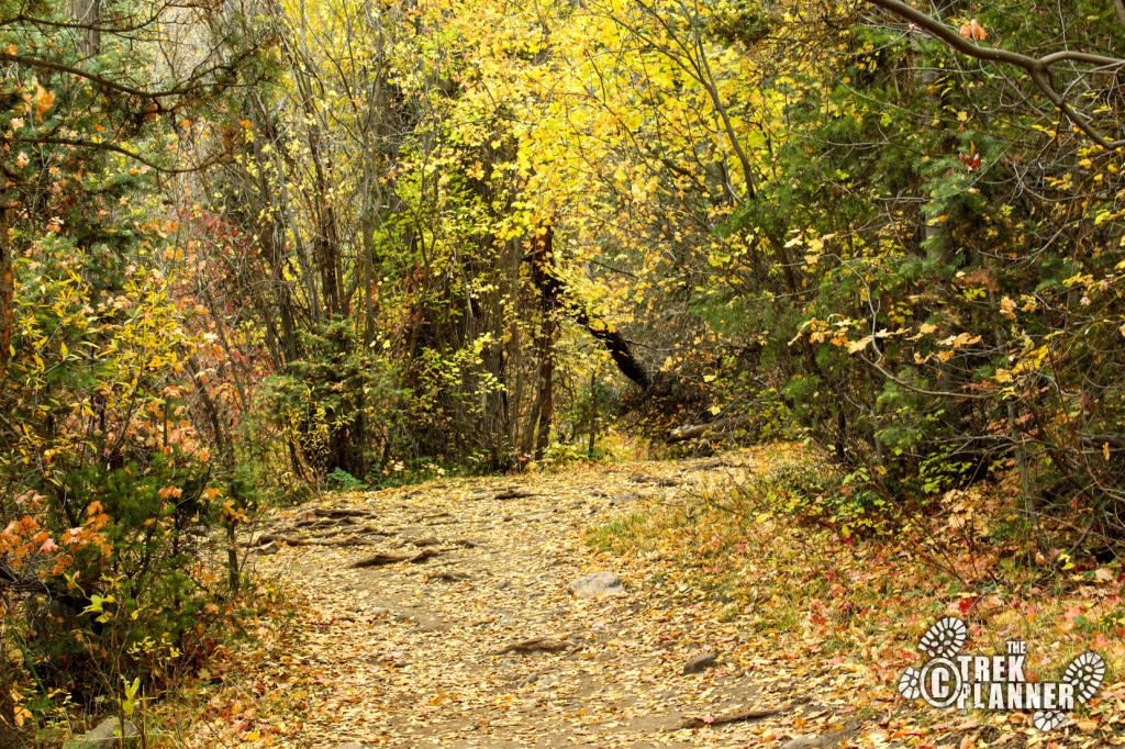 Grotto Trail