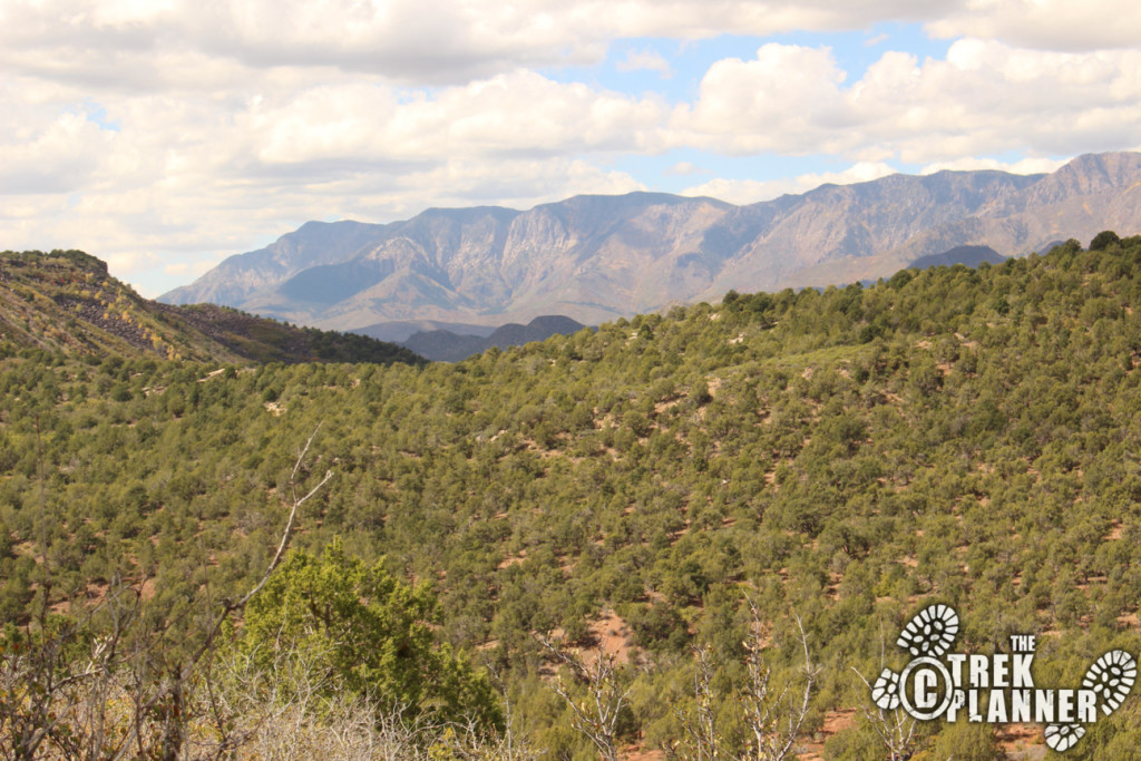 Timber Creek Overlook Trail