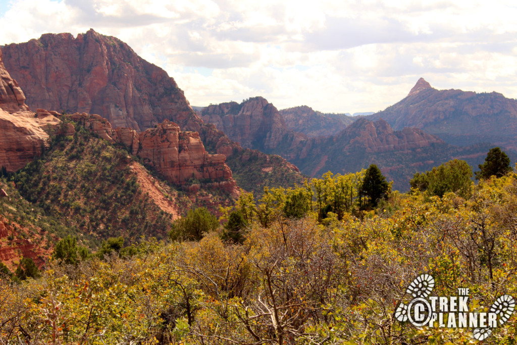 Timber Creek Overlook Trail