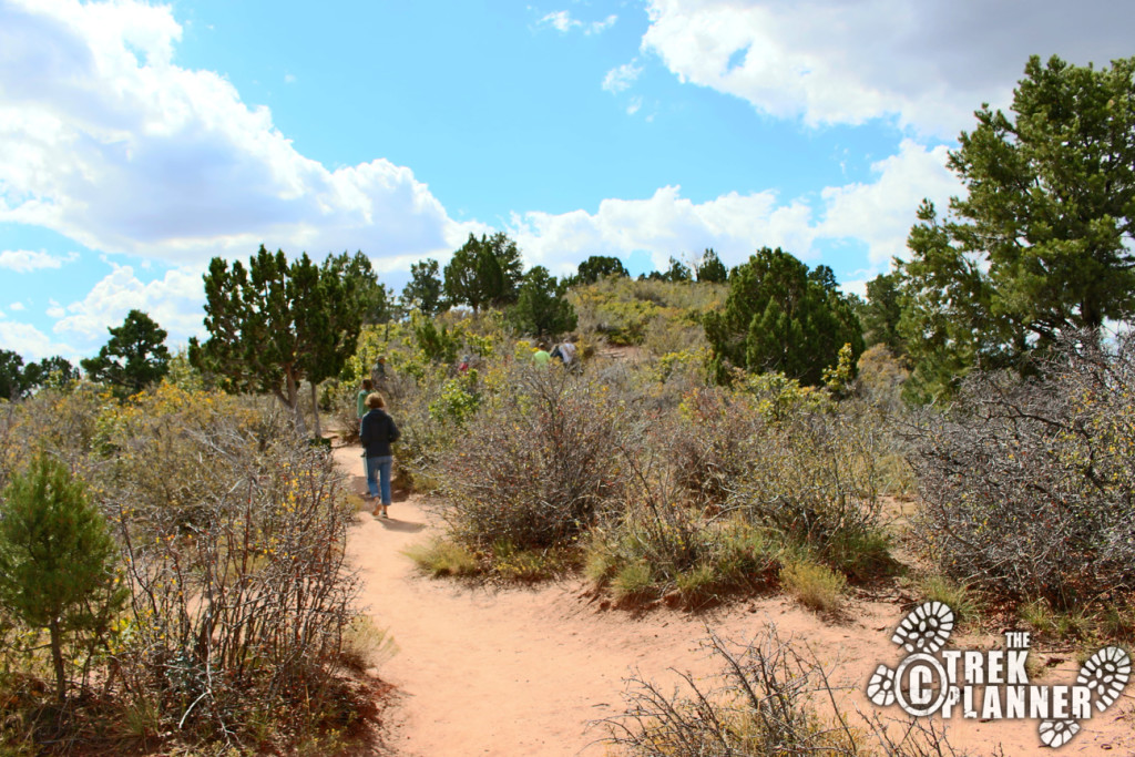 Timber Creek Overlook Trail