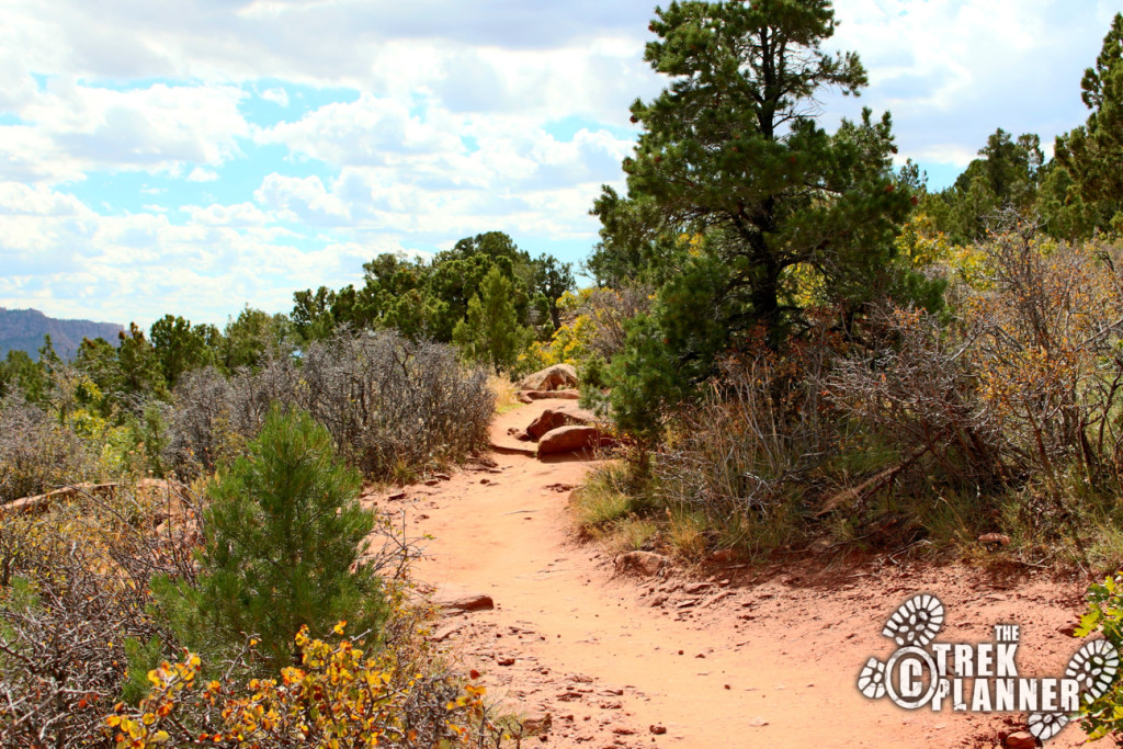 Timber Creek Overlook Trail