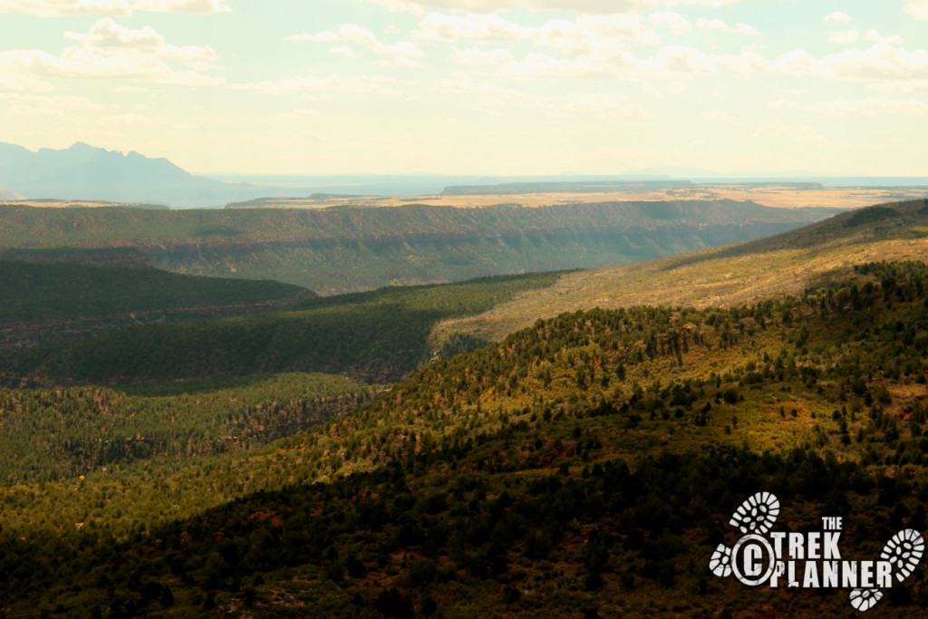 Timber Creek Overlook Trail