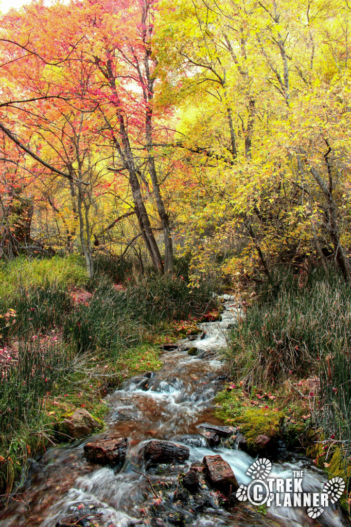 Maple Grove Campground