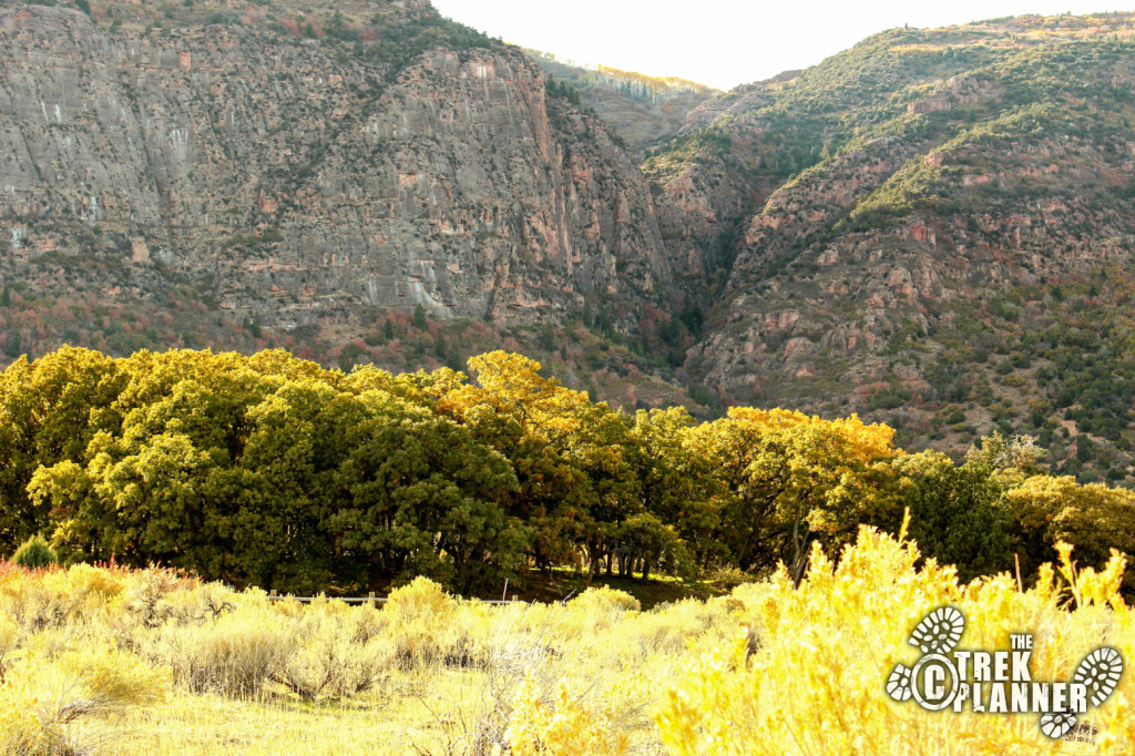 The campground is located below the red cliffs