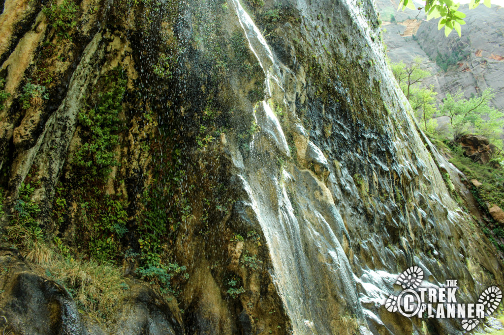 Weeping Rock