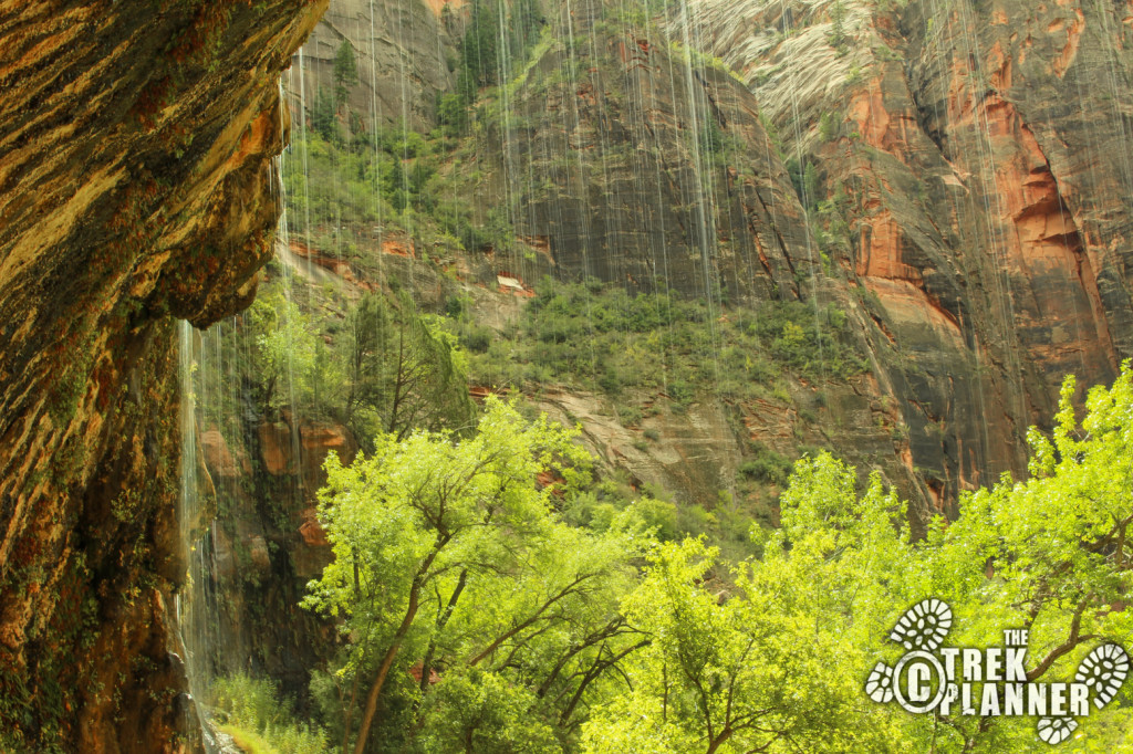 Weeping Rock - Zion National Park