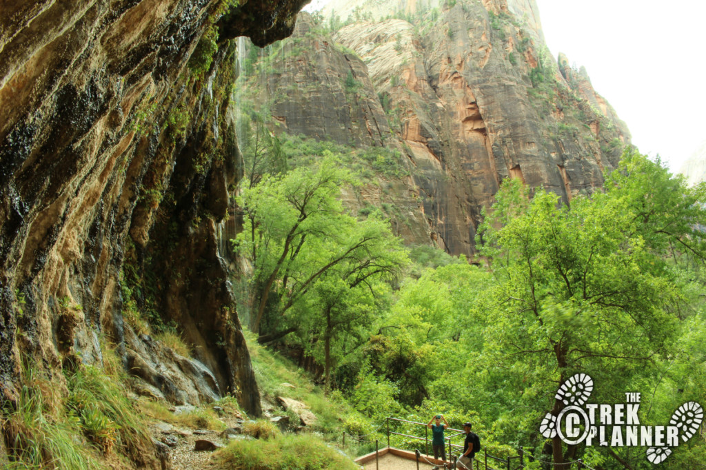 Weeping Rock