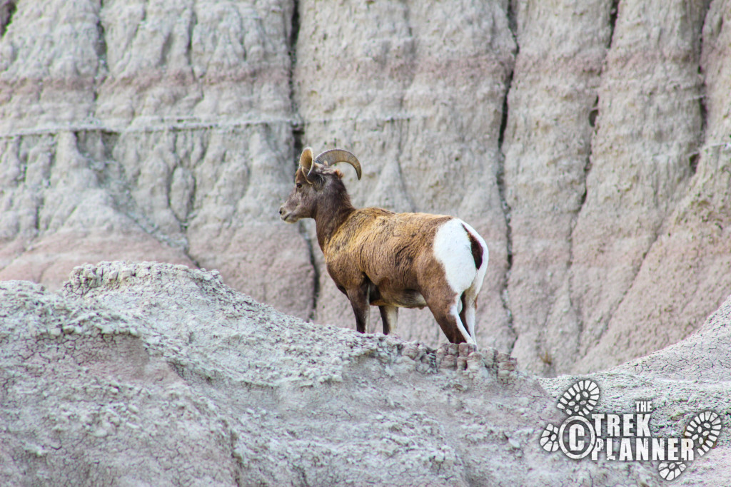 Badlands Scenic Drive