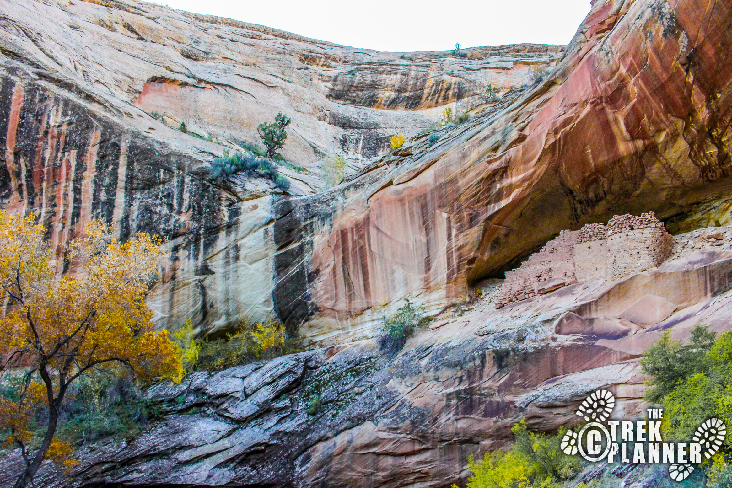 Monarch’s Cave – Comb Ridge, Utah