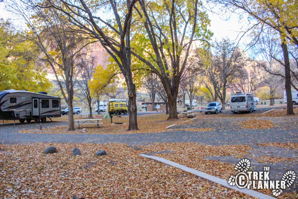 Fruita Campground