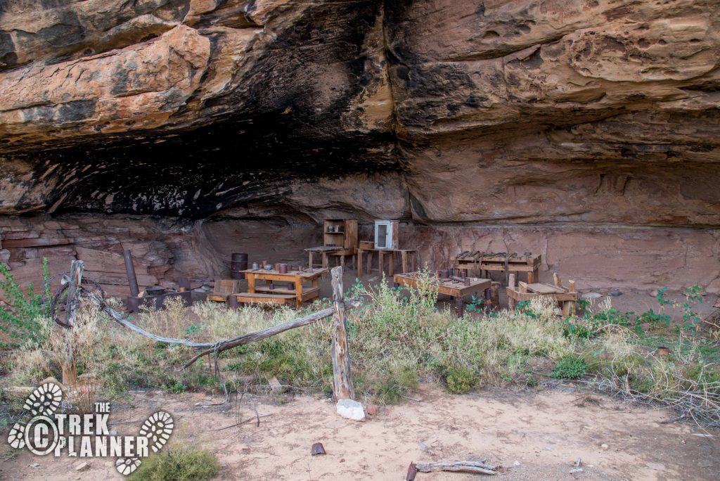 Cave Spring – Canyonlands National Park 