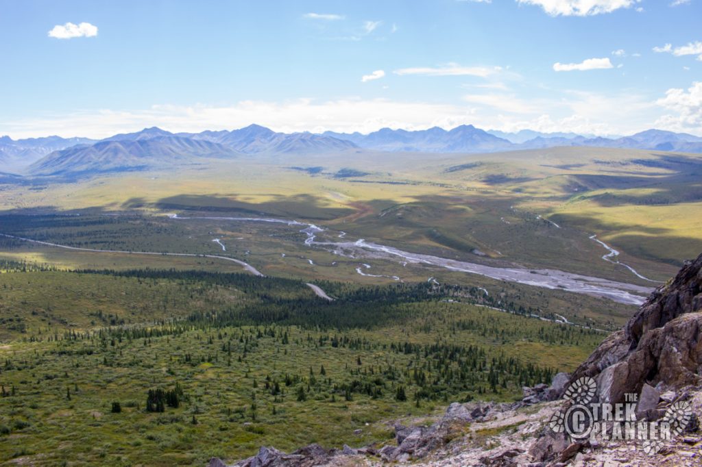 Savage Alpine Trail - Denali National Park Alaska