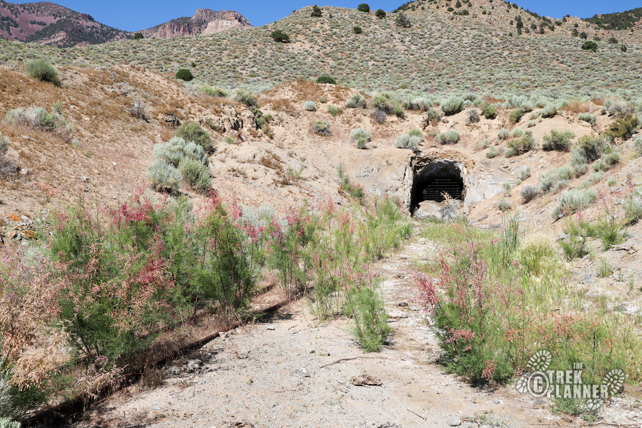 Cactus Mine – Newhouse, Utah