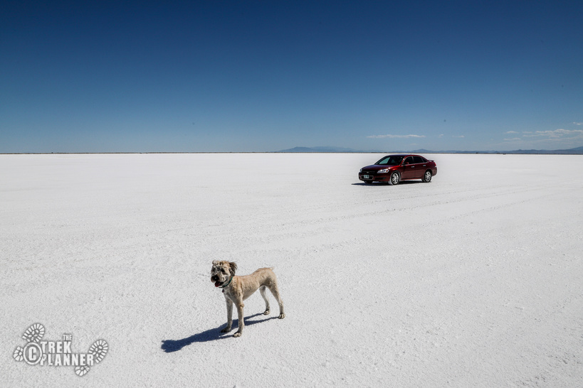 Bonneville Salt Flats – West Desert, Utah